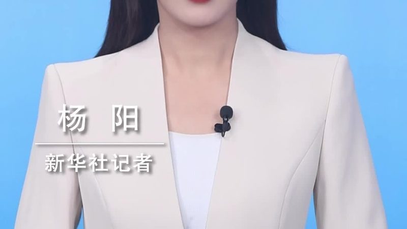 数据服务厂家地域划分：如何选择合适的合作伙伴**